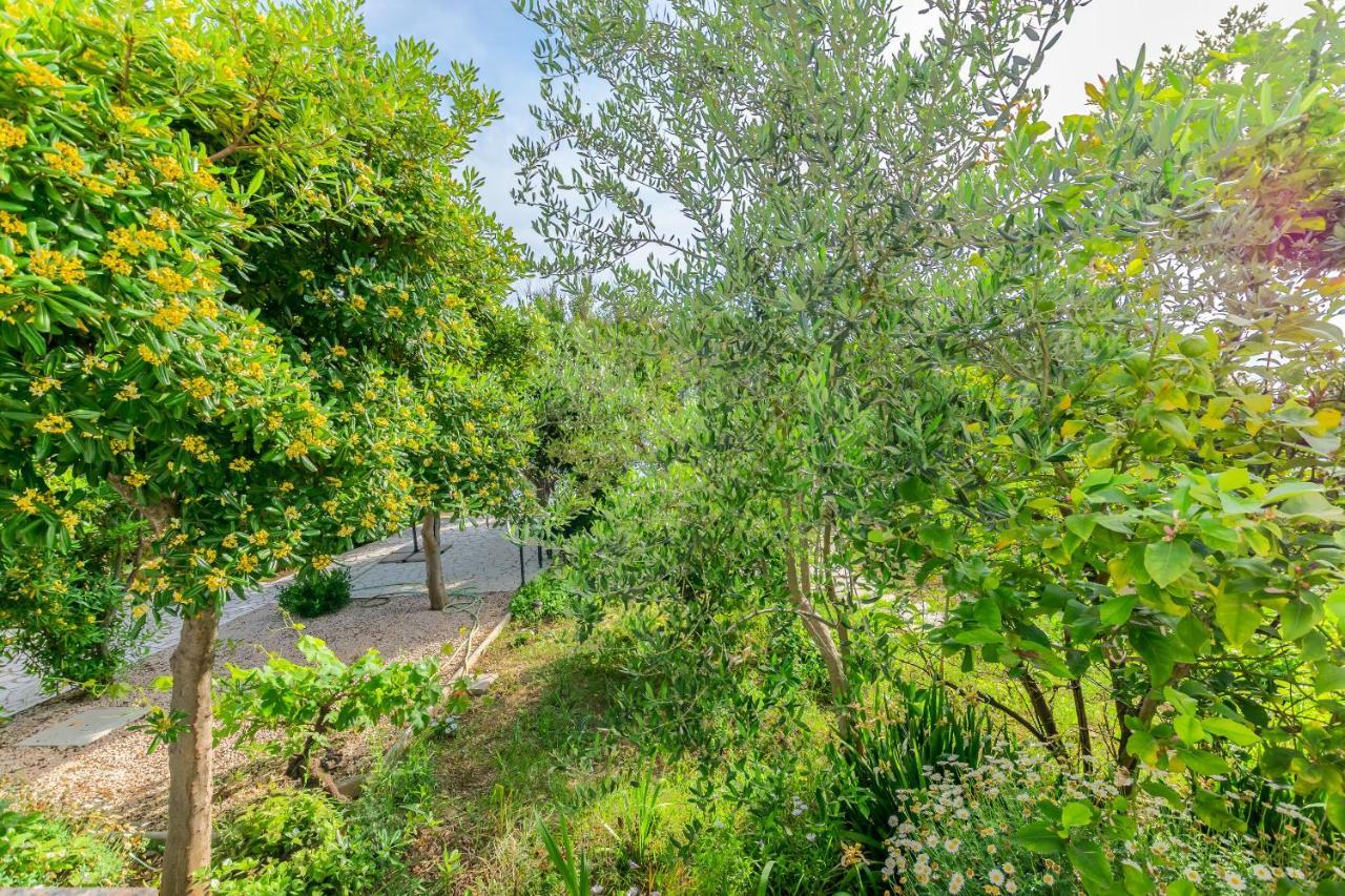 Apartments And Rooms Bianca Barbat na Rabu Экстерьер фото